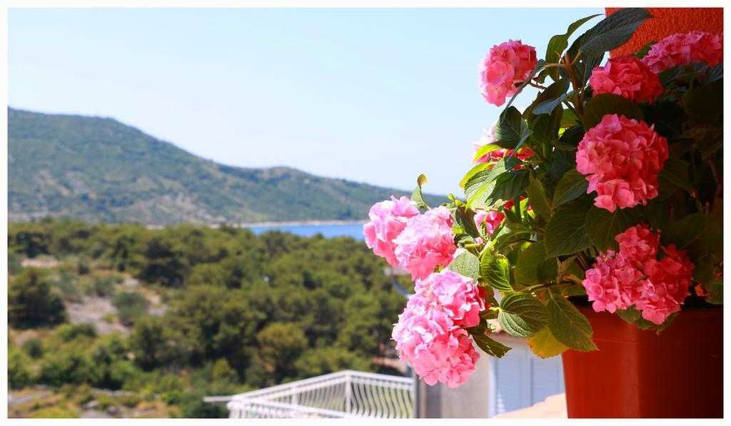 Villa Marica Primošten Exteriör bild